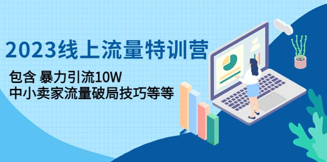 2023线上流量特训营:中小卖家流量破局技巧等等