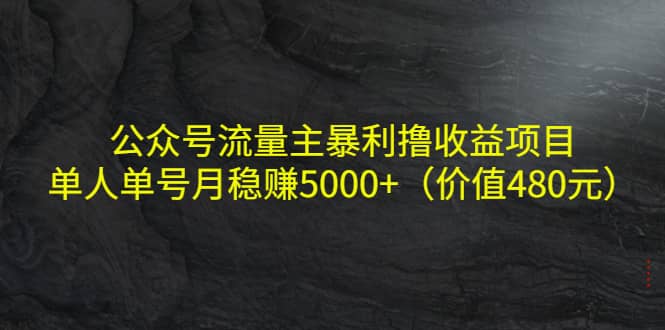 公众号流量主暴利撸收益项目,单人单号月稳赚5000+(价值480元)
