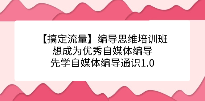 【搞定流量】编导思维培训班,想成为优秀自媒体编导先学自媒体编导通识1.0