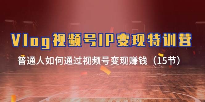 Vlog 视频号IP变现特训营,普通人如何通过视频号变现赚钱(15节)