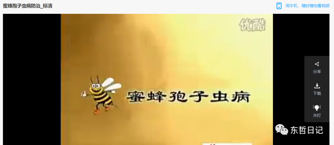 东哲日记:全网首创实物虚拟电商项目,速来捡钱,成本低,一单赚几十块!