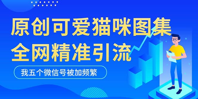 黑科技纯原创可爱猫咪图片,全网精准引流,实操5个VX号被加频繁