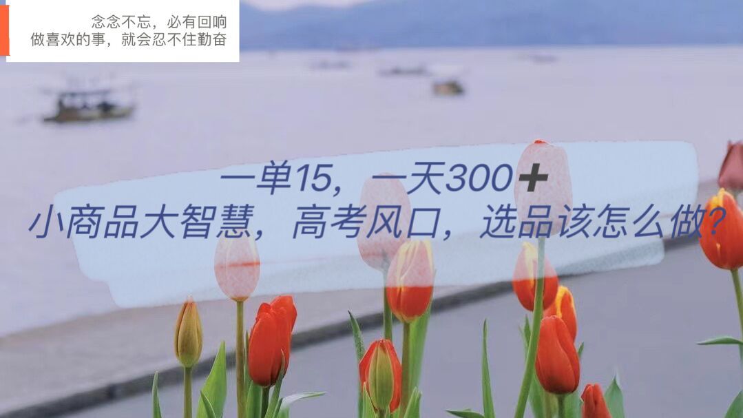 一单15,一天300+,小商品大智慧,高考风口,选品该怎么布局