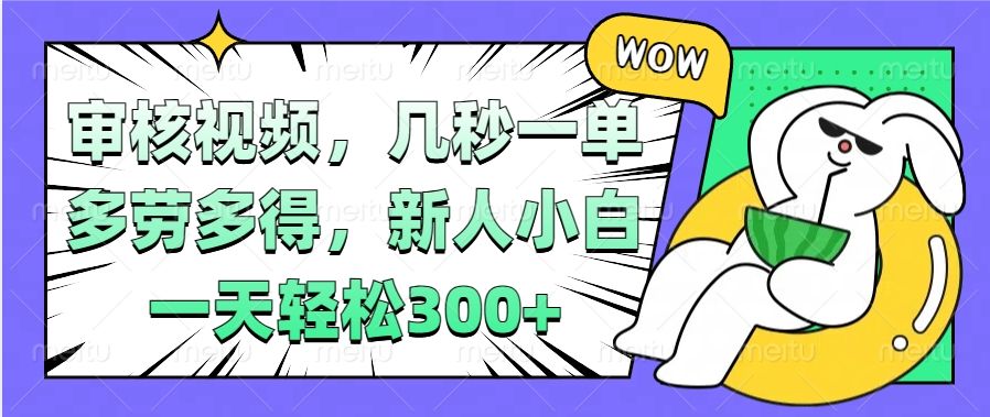 视频审核项目，几秒一单，多劳多得，新人小白一天轻松300+