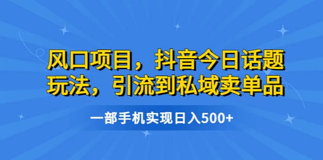风口项目,抖音今日话题玩法,引流到私域卖单品,一部手机实现日入500+