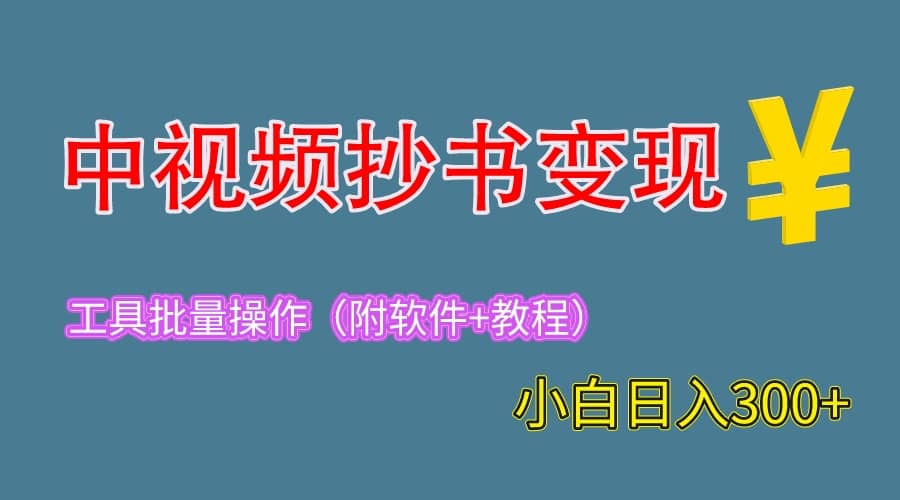 2023中视频抄书变现(附工具+教程),一天300+,特别适合新手操作的副业