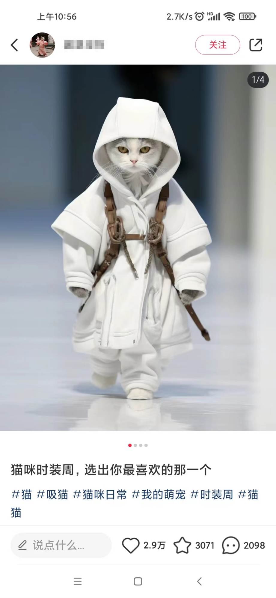 适合小白 宝妈 上班族 大学生互联网兼职 小红书爆款项目Animal秀,月入1W