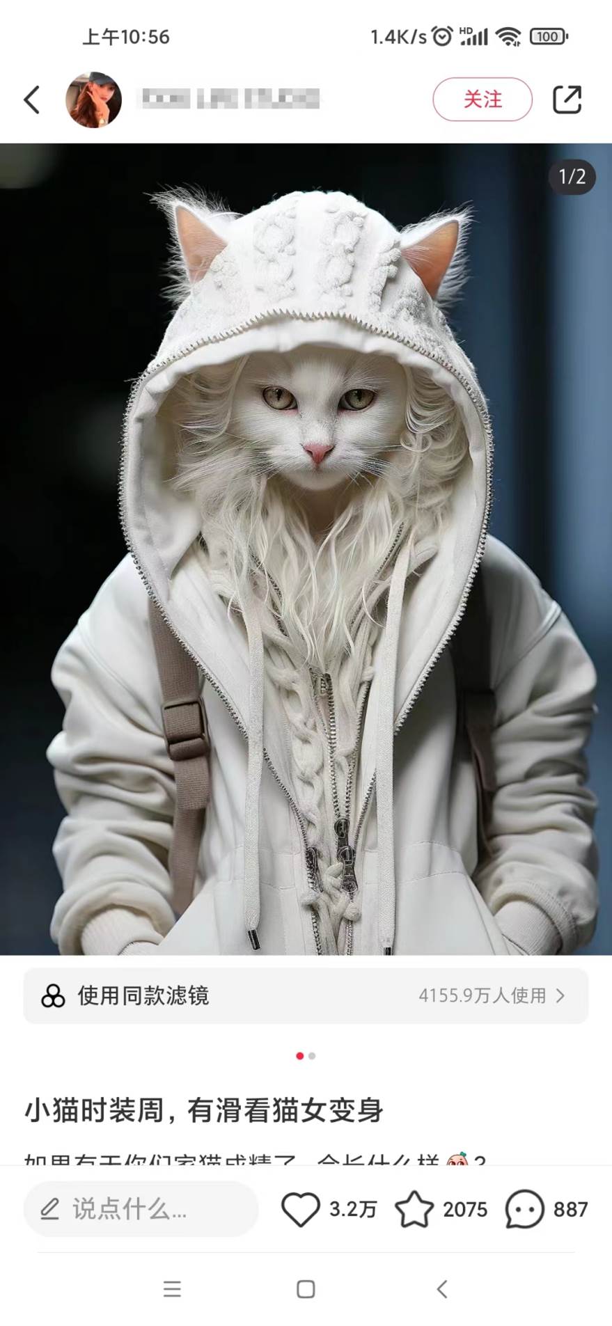 适合小白 宝妈 上班族 大学生互联网兼职 小红书爆款项目Animal秀,月入1W