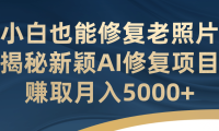 小白也能修复老照片!揭秘新颖AI修复项目,赚取月入5000+