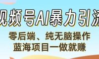 视频号AI暴力引流：零后端、纯无脑操作，蓝海项目一做就赚！【下面那个链接失效了】