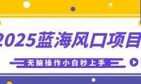 2025蓝海风口项目，利用AI工具一键生成儿童益智早教视频，无脑操作小白秒上手，轻松日入500+