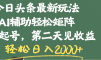 今日头条最新玩法,AI辅助轻松矩阵,当天起号,第二天见收益,轻松日入2000+