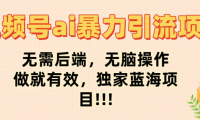 视频号ai暴力引流项目,无需后端,无脑操作,做就有效,独家蓝海项目!!!