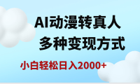 AI动漫转真人,一条视频点赞200w+,日入2000+,多种变现方式