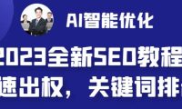 2023最新网站AI智能优化SEO教程，简单快速出权重，AI自动写文章+AI绘画配图
