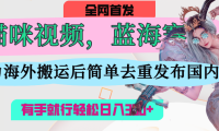 AI猫咪视频蓝海赛道,操作简单,直接海外搬运,简单去重,操作简单,有手就行日入500+