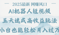 2025最新Ai 机器人短视频,网赚变现风口,五天速成高收益玩法,小白轻松月入过万