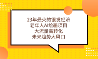 23年最火的银发经济，老年人AI绘画项目，大流量高转化，未来趋势大风口
