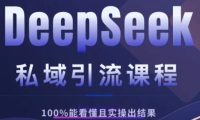 DeepSeek私域引流课程,小白也能看懂,实操必出结果,日引目标客户200+
