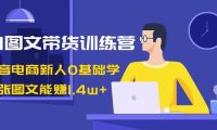 AI图文带货训练营：抖音电商新人0基础学，几张图文能赚1.4w+