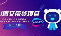 AI图文带货项目：不用出镜，不用拍短视频，不用做直播  就能出单，赚取佣金
