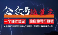 利用AI插件2个月涨粉5.6w，一键生成，即使你不懂技术，也能轻松上手