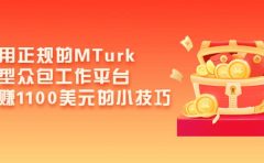 利用正规的MTurk微型众包工作平台，月赚1100美元的小技巧