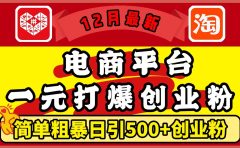 12月最新：电商平台1元打爆创业粉，简单粗暴日引500+精准创业粉，轻松月入5万+