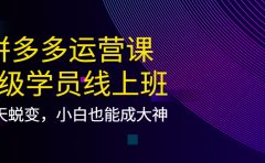 拼多多运营课：超级学员线上班，21天蜕变，小白也能成大神