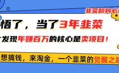 悟了，当了3年韭菜，才发现网赚圈年赚100万的核心是卖项目，含泪分享！