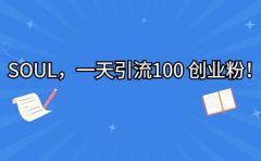 SOUL，一天引流100 创业粉