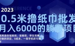 撸纸巾批发躺赚项目，0成本，一部手机无脑操作，月入6000+
