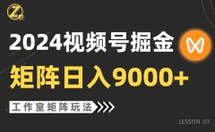 【蓝海项目】2024视频号自然流带货,工作室落地玩法,单个直播间日入9000+