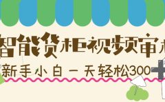 智能货柜视频审核，几秒一单，多劳多得，新人小白一天轻松 300+，零门槛！