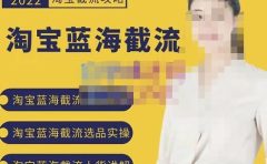 2022淘宝蓝海截流攻略,淘宝蓝海截流选品上货实操讲解