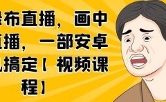无绿布直播，画中画直播，一部安卓手机搞定【视频课程】