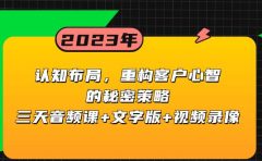 认知布局，重构客户心智的秘密策略三天音频课+文字版+视频录像