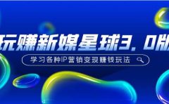 《玩赚新媒星球3.0版》学习各种IP营销变现玩法(价值498)