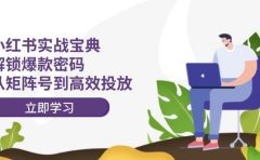 小红书实战宝典:解锁爆款密码,从矩阵号到高效投放