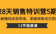 28天·销售特训营5期：了解赚钱底层思维，掌握销售成交密码（12节课）