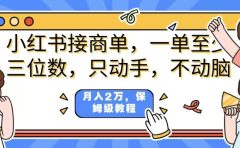 小红书商单项目，一单最少三位数，只动手不动，脑月入2万，看完就能上手，详细教程。