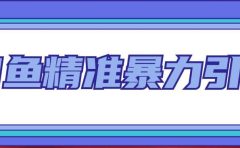 闲鱼精准暴力引流全系列课程，每天被动精准引流200+客源技术（8节视频课）