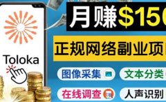 正规网络副业赚钱平台Toloka，利用业余时间月赚150美元