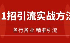 精准引流术：11招引流实战方法，让你私域流量加到爆（11节课完整版）