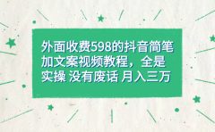 外面收费598抖音简笔加文案教程，全是实操 没有废话 月入三万（教程+资料）