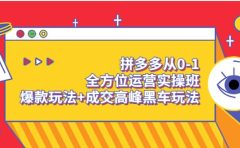 拼多多从0-1全方位运营实操班:爆款玩法+成交高峰黑车玩法(价值1280)
