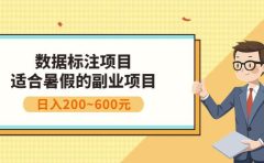 副业赚钱：人工智能数据标注项目，简单易上手，小白也能日入200+