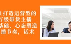 从0-1打造运营型的带货主播：主播基础、心态塑造，能力培养到直播节奏，话术进行全面讲解