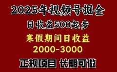 最新视频号项目，单账号日收益500起步，寒假期间日收益2000-3000左右，