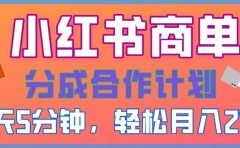 2025副业黑马曝光！0门槛小红书项目，小白也能轻松月入2万+